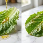 **Alt text:** A side-by-side macro comparison of salad dressing on romaine lettuce. On the left, a wet, water-droplet-covered leaf causes golden vinaigrette to bead up and slide off. On the right, the dressing clings evenly and beautifully to a dry, crisp leaf.