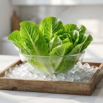 Crisp green lettuce in a clear glass bowl, nestled in a rustic wooden tray filled with crushed ice on a bright marble kitchen countertop.