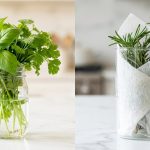 A split-image showing two herb preservation methods on a marble countertop: fresh basil and cilantro in a jar of water on the left, and rosemary wrapped in a damp paper towel in a chilled glass container on the right.